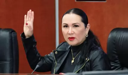 Diputada Araceli Geraldo N��ez