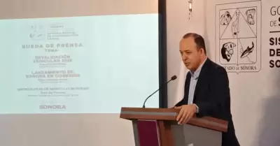 Iv�n de la Rosa, subsecretario de Ingresos