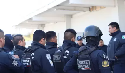 Elementos policiales