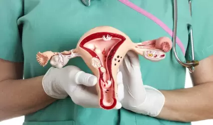 C�ncer cervicouterino
