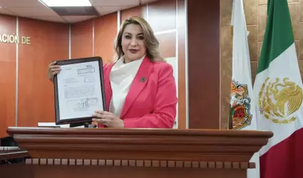 Diputada Ang�lica Pe�aloza