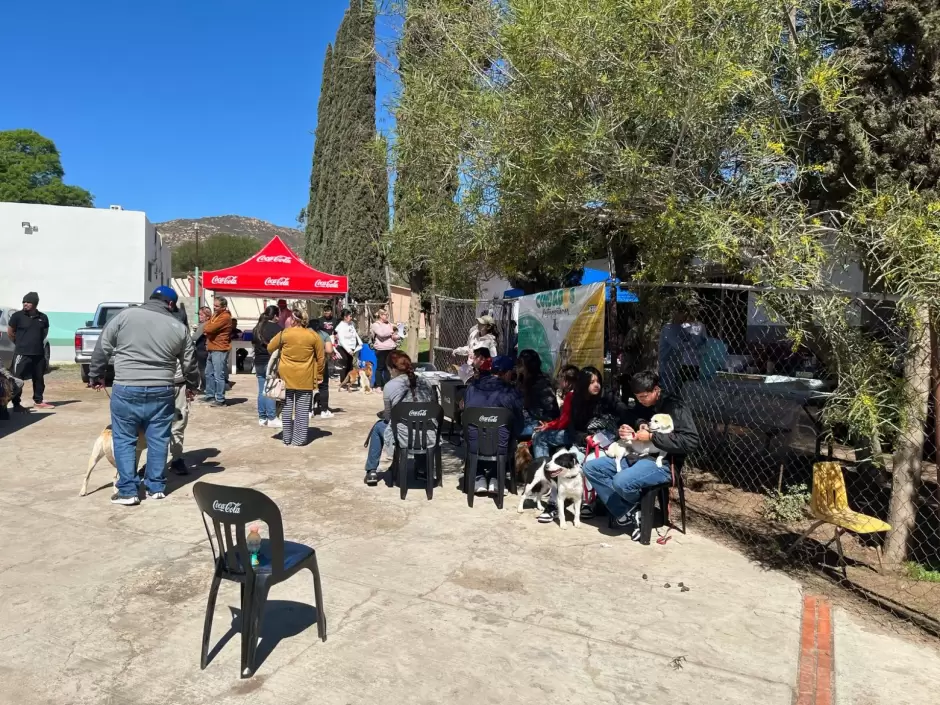 Jornada de vacunaci�n de mascotas