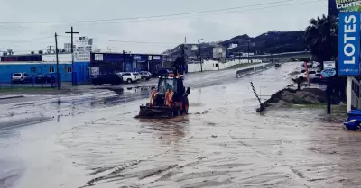 Limpian accesos en delegaci�n Primo Tapia tras lluvias
