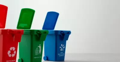 Si crees que cualquier basurero funciona, reconsidera. Te explicamos por qu�.