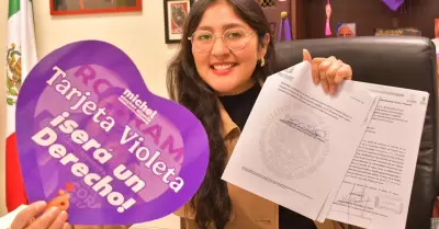 Diputada Michel S�nchez