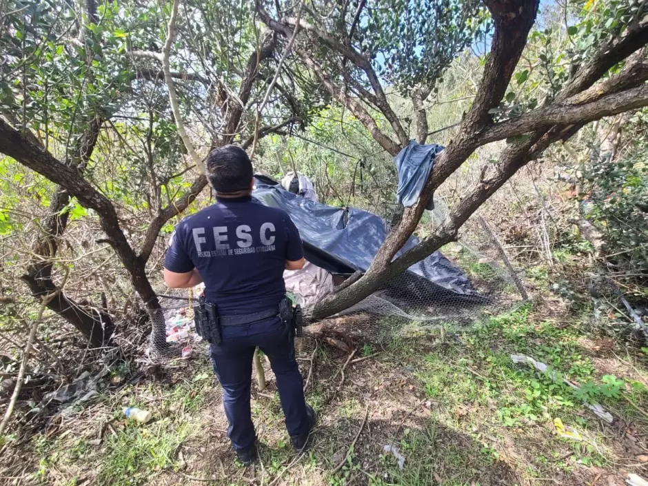 Localizan y destruyen plant�o de marihuana en Tijuana