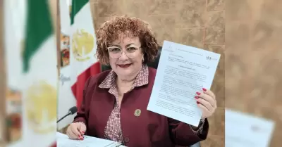 Diputada Mar�a Teresa M�ndez V�lez
