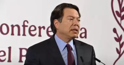 Mario Delgado, secretario de Educaci�n