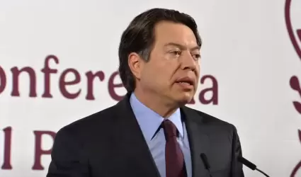 Mario Delgado, secretario de Educaci�n