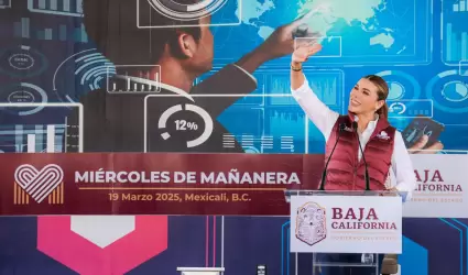 Inteligencia artificial en educaci�n p�blica