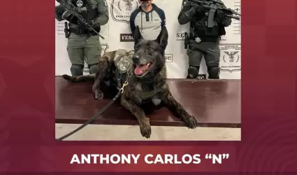 Fugitivo de Estados Unidos en Playas de Rosarito