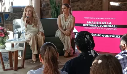 M�nica G�icho, an�lisis de la reforma judicial