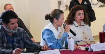 Consejo Estatal de Protecci�n al Ambiente