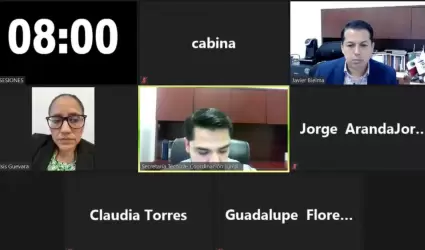 Comisi�n Especial de Vinculaci�n con los Consejos Distritales Electorales