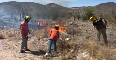 Incendios forestales
