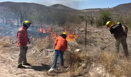Incendios forestales