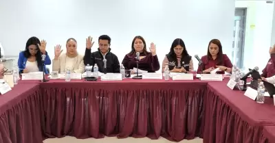 Diputada Julia Andrea Gonz�lez