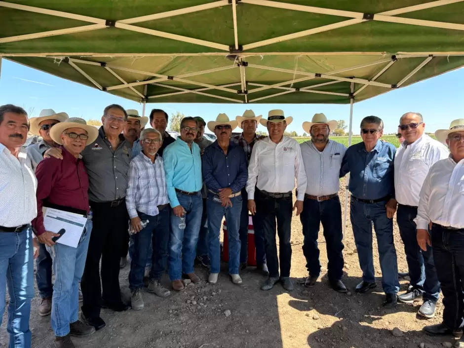 Cultivo de ma�z en el Valle de Mexicali