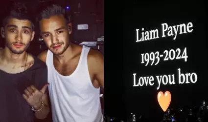 Zayn Malik y Liam Payne