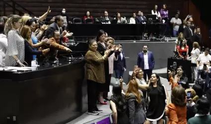 Cuauht�moc Blanco en la C�mara de Diputados