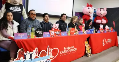 Fundaci�n Castro-Lim�n