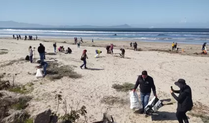 Limpieza de playas en Ensenada