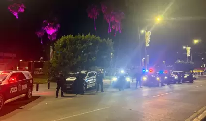 Seguridad Publica