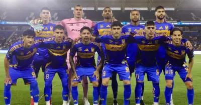 Tigres