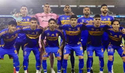 Tigres