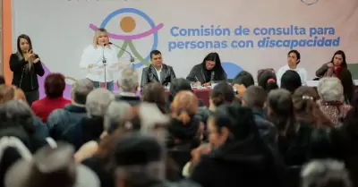 Cconsulta a personas con discapacidad