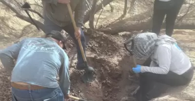 Colectivos de b�squeda