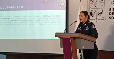 Yolanda Ballesteros, directora de la Divisi�n Salva