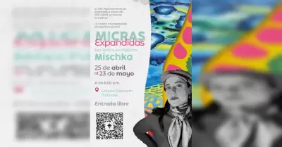Micras Expandidas