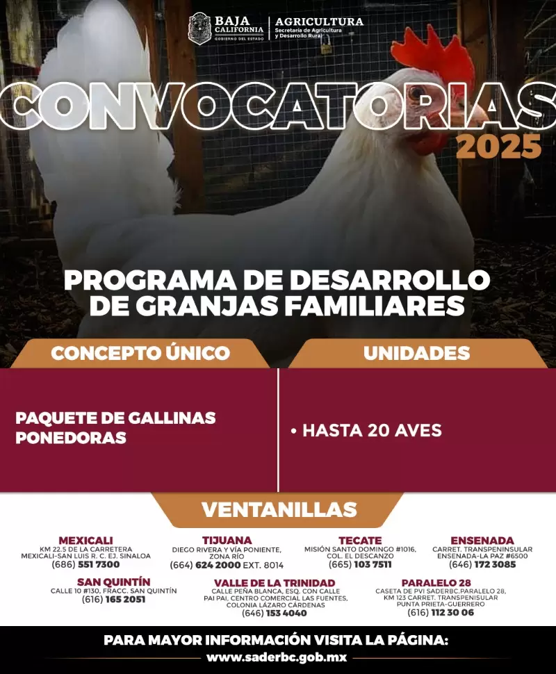 Convocatoria