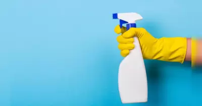 Impulsan limpieza de primavera con enfoque ecol�gico y de prevenci�n