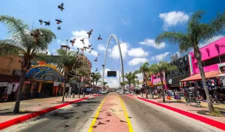 Avenida Revoluci�n