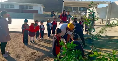 Plantan m�s de 160 �rboles en la ciudad