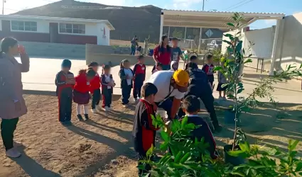 Plantan m�s de 160 �rboles en la ciudad