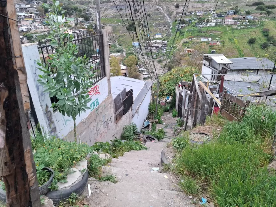 Cateo en la colonia Ca��n de las Carretas