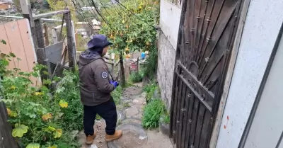 Cateo en la colonia Ca��n de las Carretas