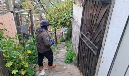 Cateo en la colonia Ca��n de las Carretas