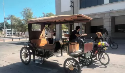Calandria el�ctrica en Hermosillo