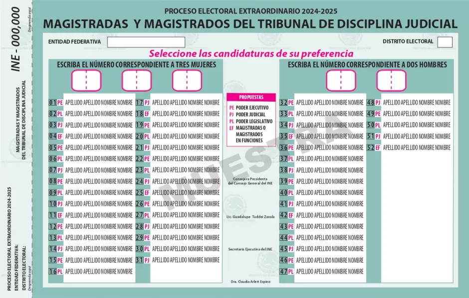 Boleta para estos cargos ser� de color turquesa