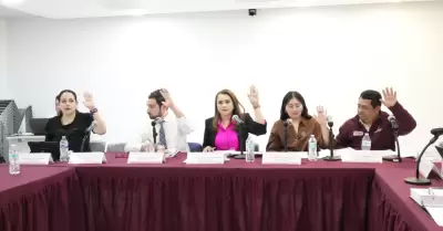 Comisi�n de Fiscalizaci�n