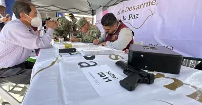 S� al desarme, s� a la paz