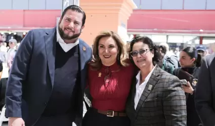 Campa�a de desarme voluntario