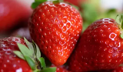 Fresas