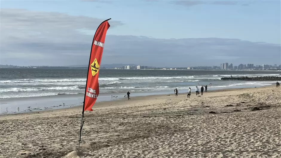 Contaminaci�n del mar