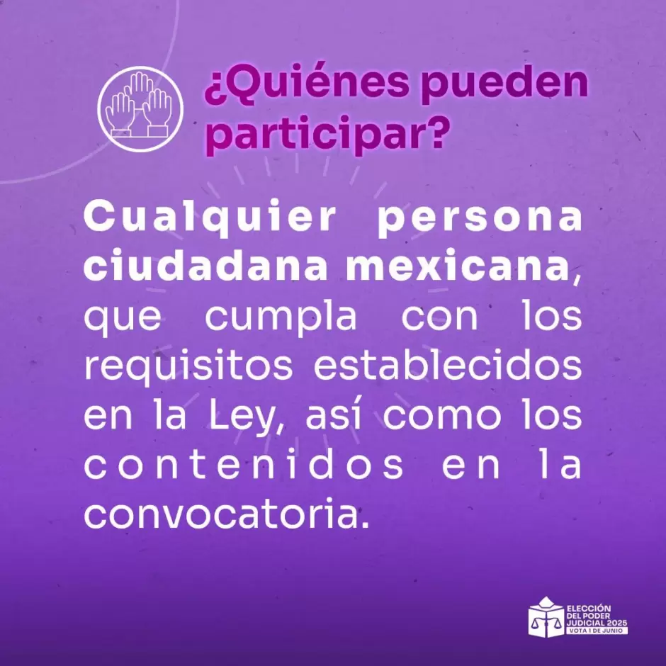 Apuerban solicitudes para participar en la Observaci�n Electoral del Proceso para elegir cargos del PJF