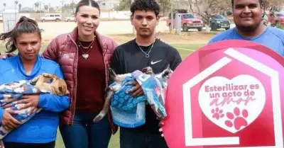 D�a Mundial de la y el Veterinario